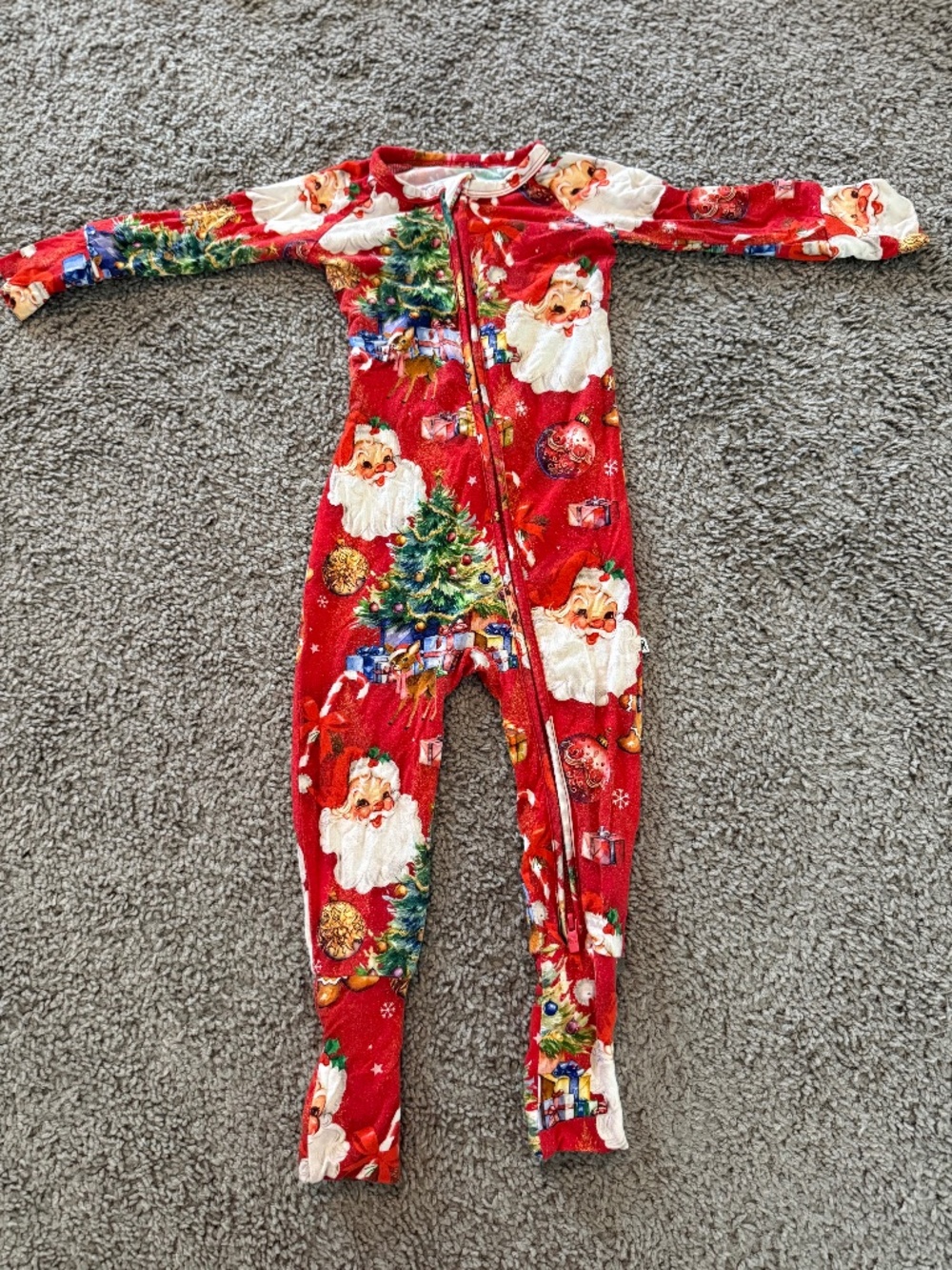 12-18 months Bums & Roses zippy